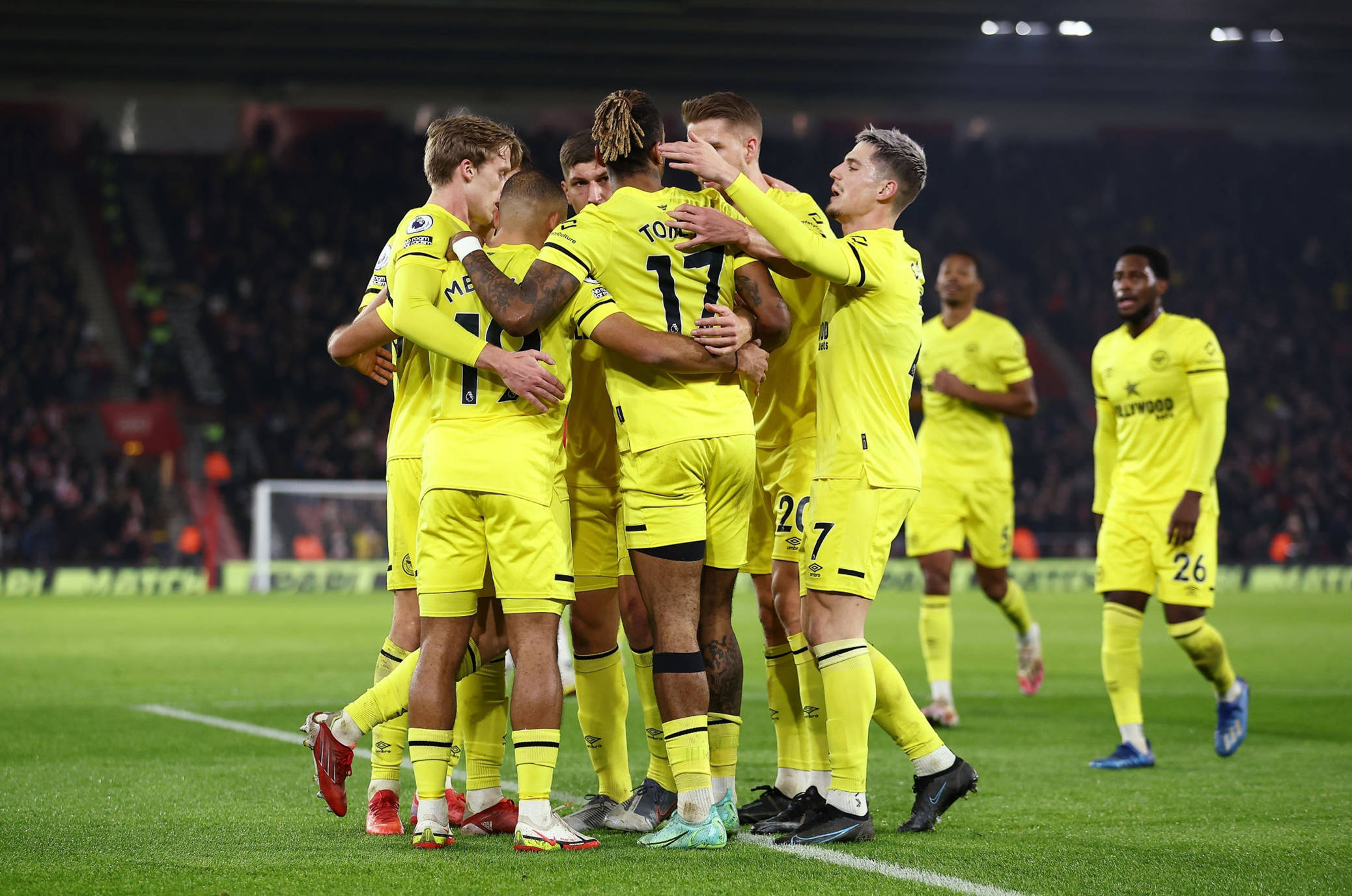 新任教练的 新任教练的