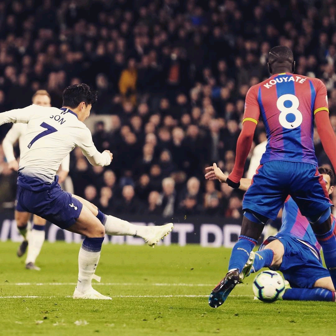 证明了他作 证明了他作